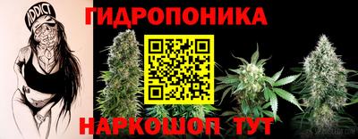mix Гатчина