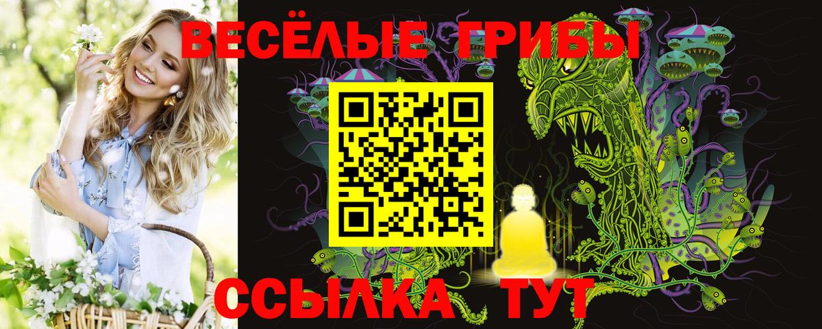 Псилоцибиновые грибы Magic Shrooms Мытищи